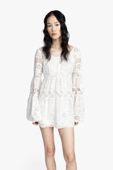 Cottage Rose Lace Mini Dress - Anna Sui Discount