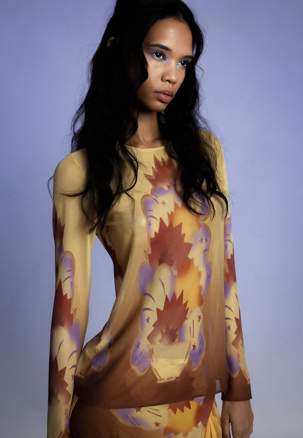 Sunburst Mesh Top - Anna Sui Online