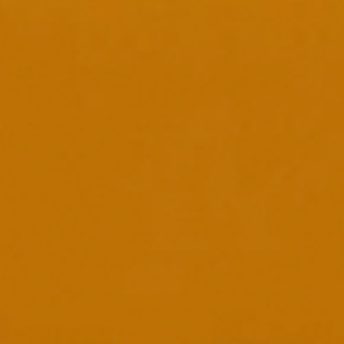 Aerosoles Flat Sandal in Orange Transluscent Rubber