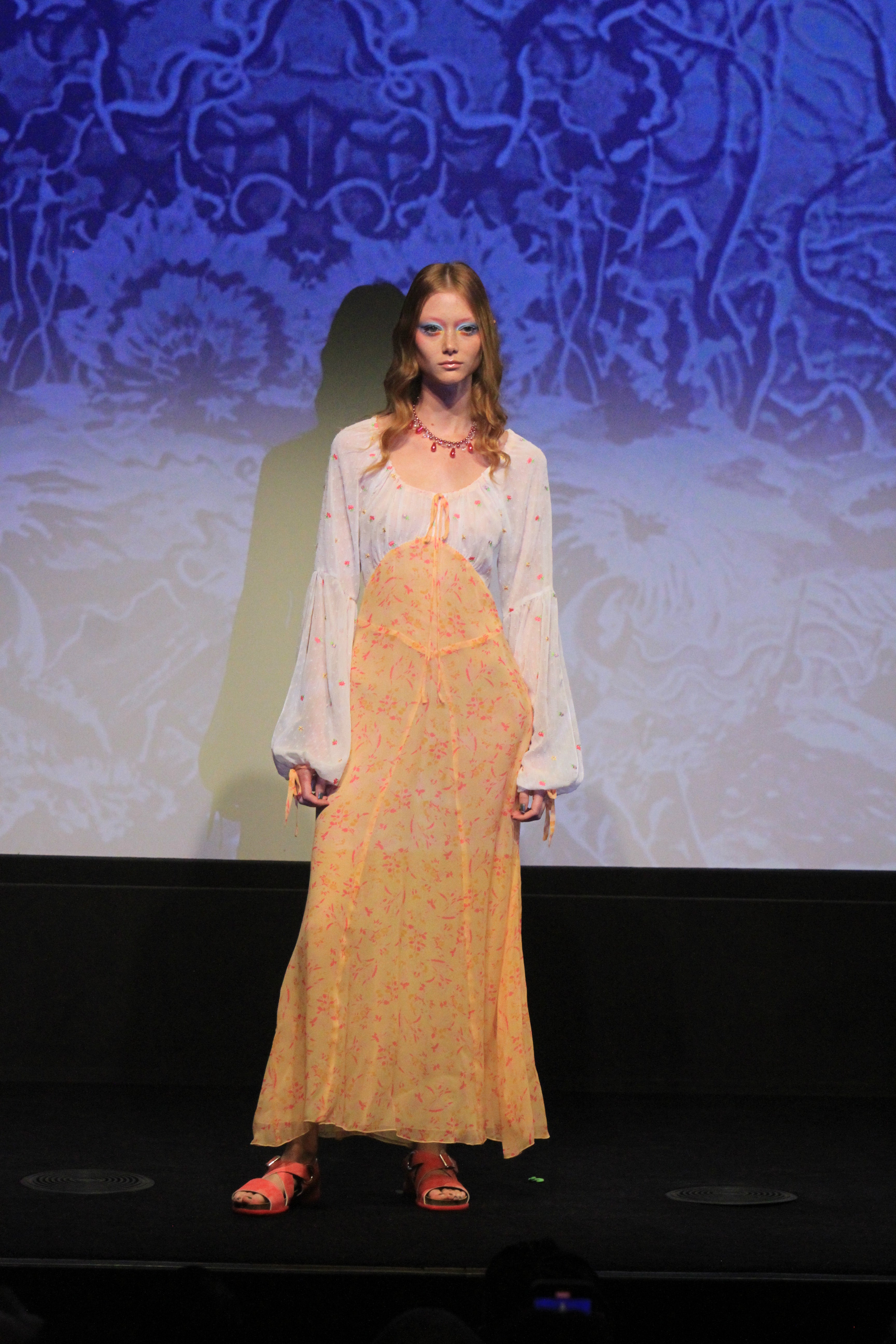 Floral Swiss Dot & Arcadia Blossom Princess Dress - Anna Sui Sale