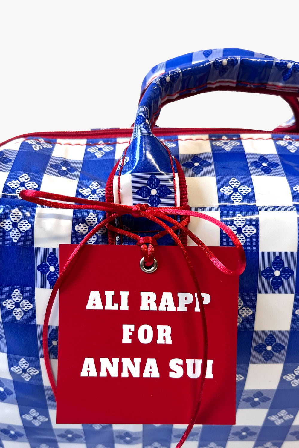 Ali Rapp for Anna Sui Medium Summer Picnic Bag - Anna Sui Sale